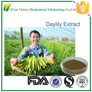 Wholesale and bulk hot selling product Hemerocallis citrina extract